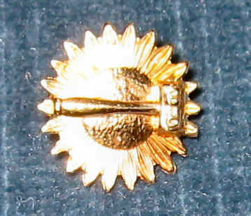 HBreciprocitypin HBreciprocitypin