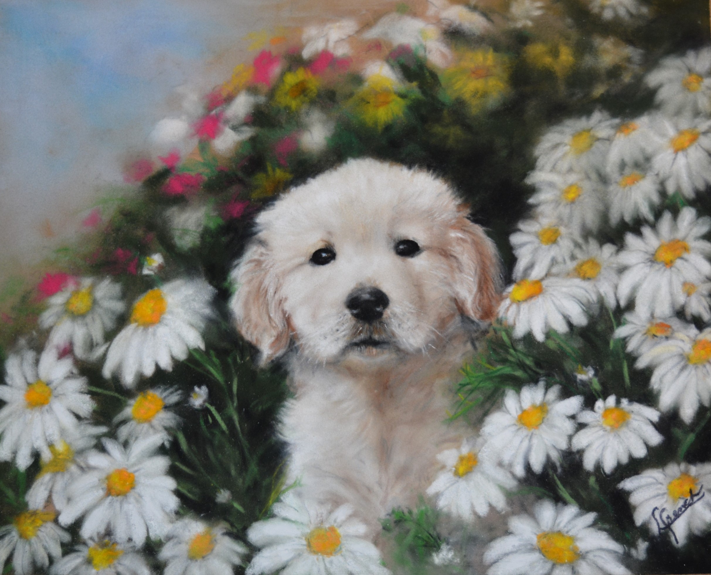 PEO JL Puppy PEO JL Puppy